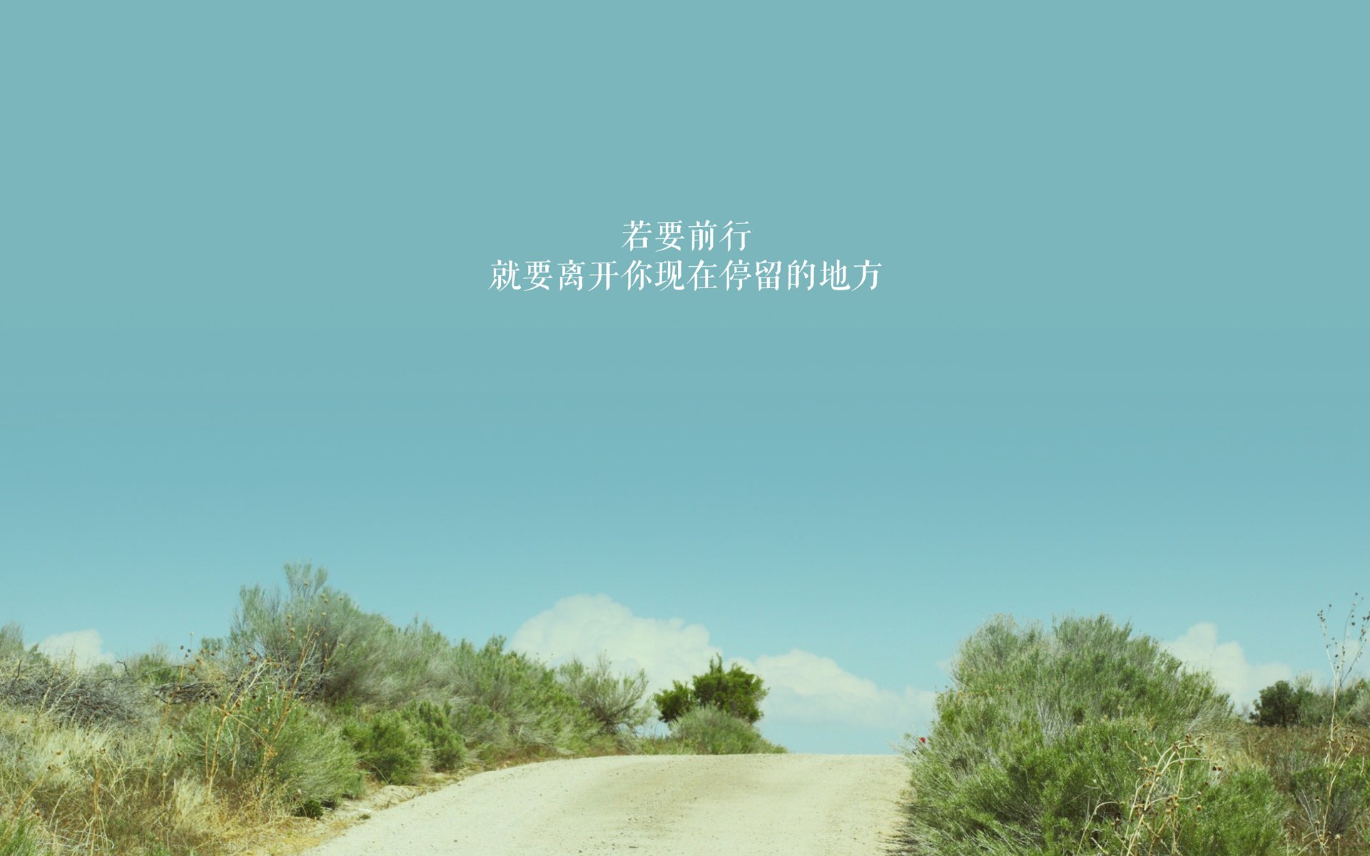 “中国女足在亚洲杯中摘冠,创造历史新高”,女足获得亚军
